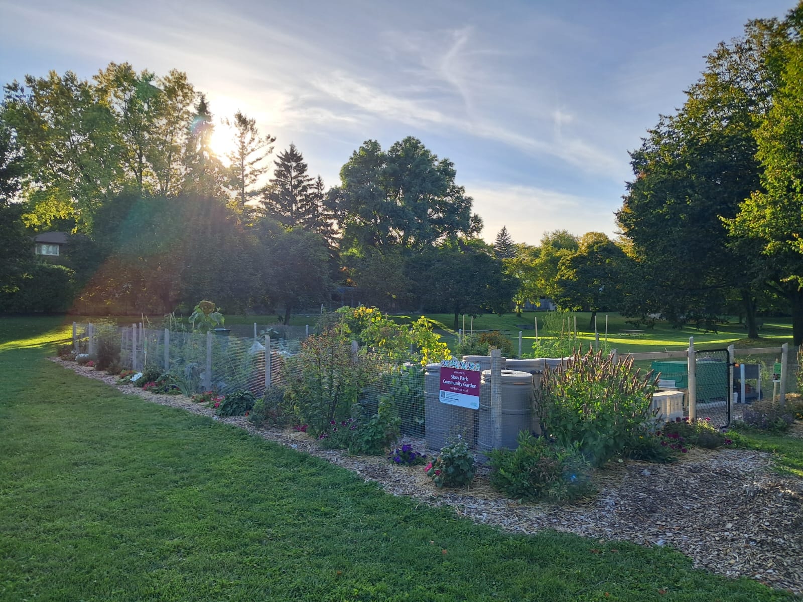 Skov Park Community Garden